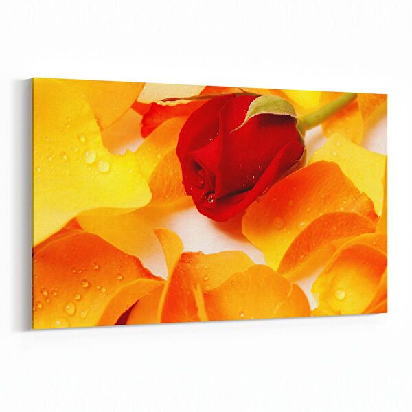 olla.market Kanvas Tablo