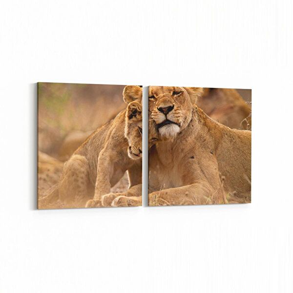 olla.market Kanvas Tablo