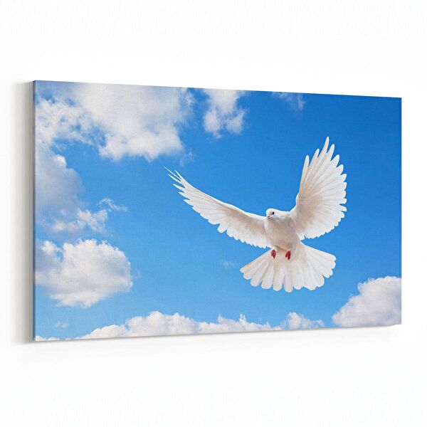 olla.market Kanvas Tablo