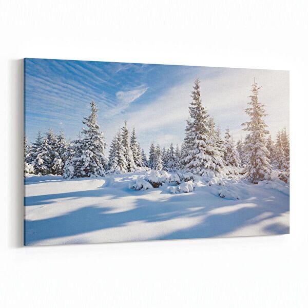 olla.market Kanvas Tablo