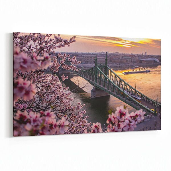 olla.market Kanvas Tablo