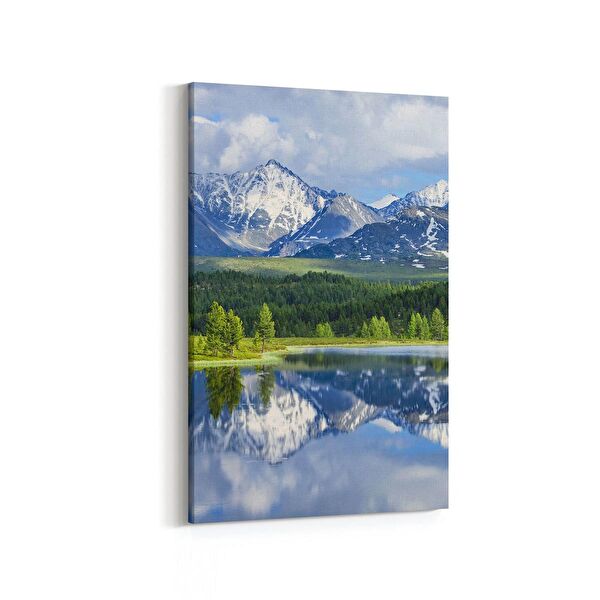 olla.market Kanvas Tablo