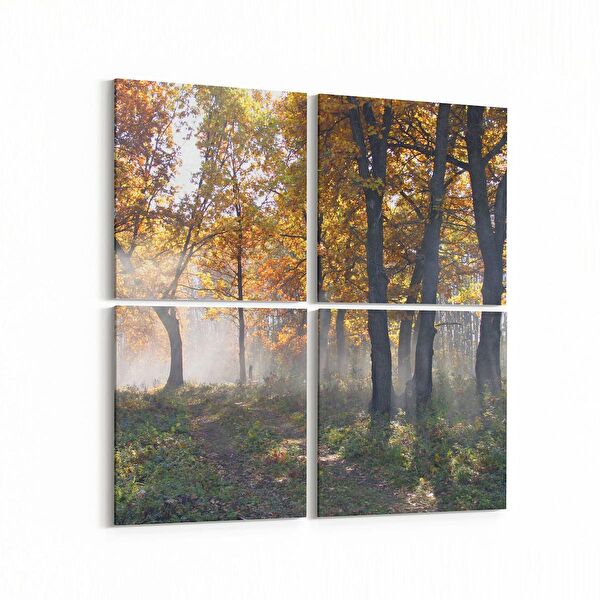 olla.market Kanvas Tablo