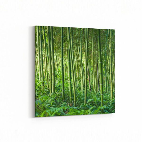 olla.market Kanvas Tablo