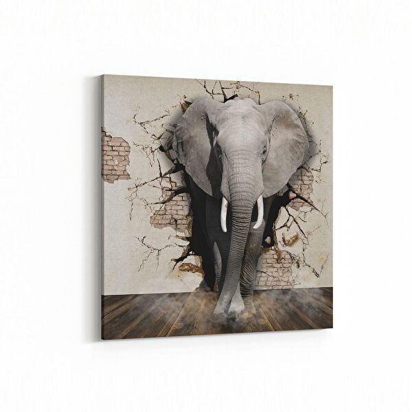 olla.market Kanvas Tablo