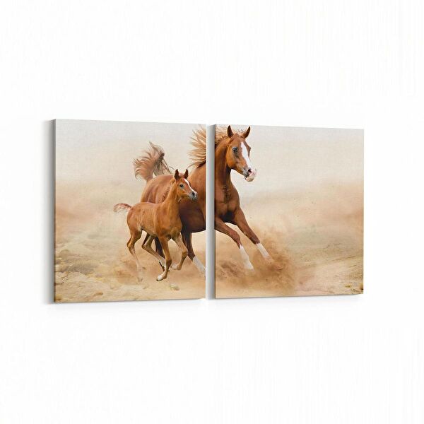 olla.market Kanvas Tablo