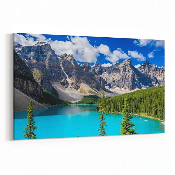 olla.market Kanvas Tablo