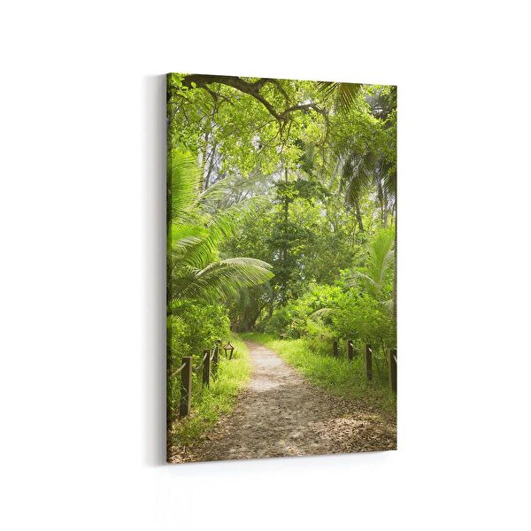 olla.market Kanvas Tablo