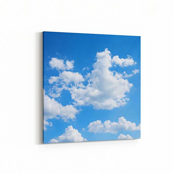 olla.market Kanvas Tablo