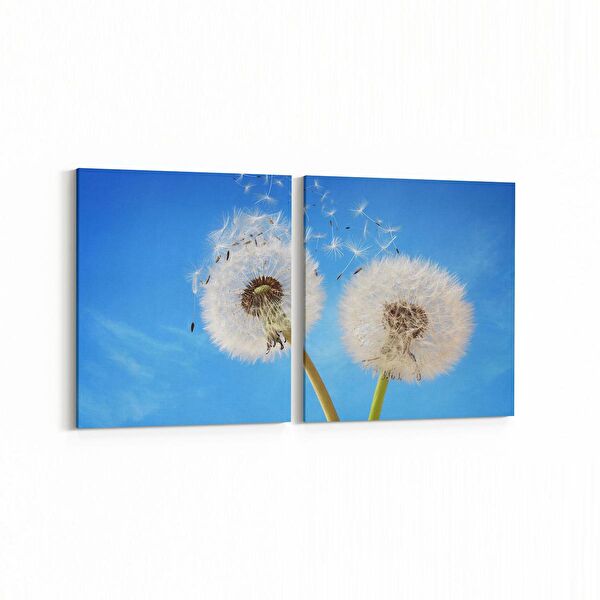 olla.market Kanvas Tablo