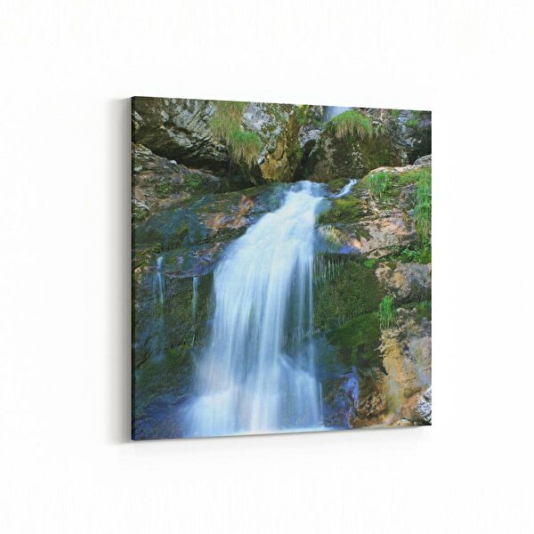 olla.market Kanvas Tablo