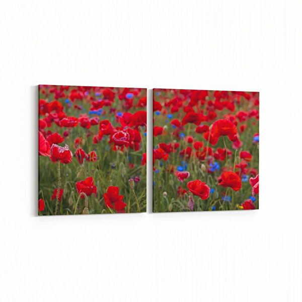 olla.market Kanvas Tablo