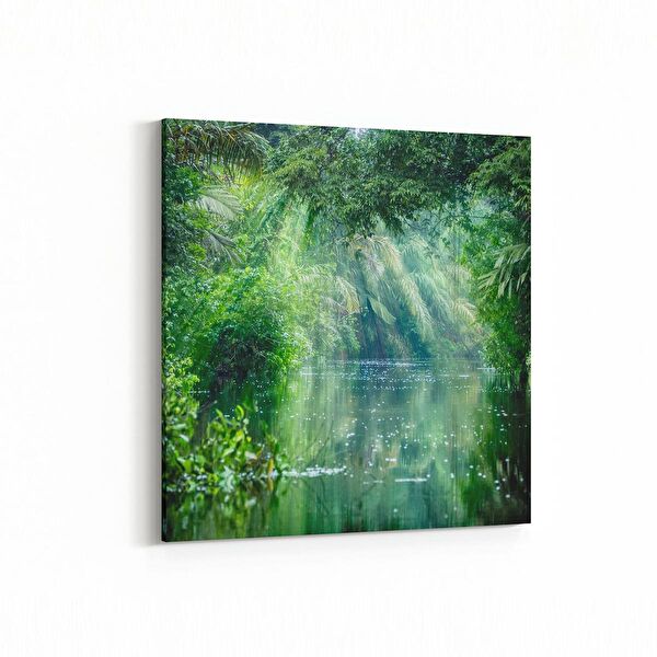 olla.market Kanvas Tablo