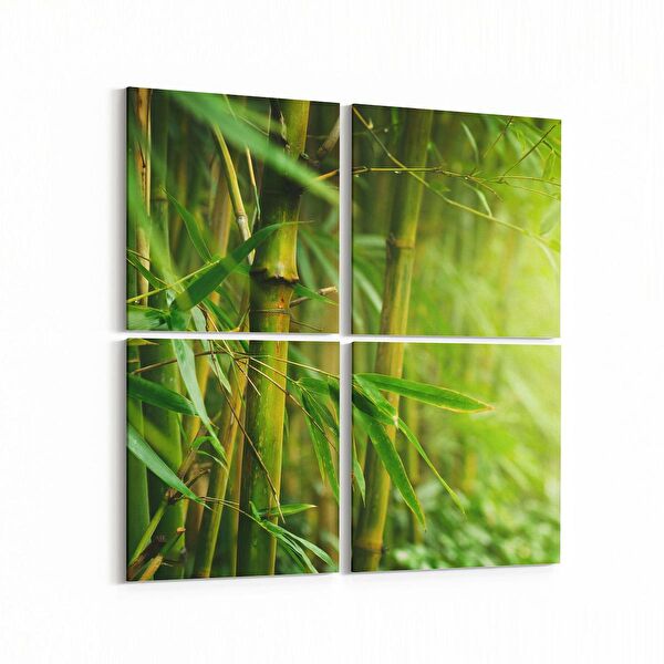 olla.market Kanvas Tablo