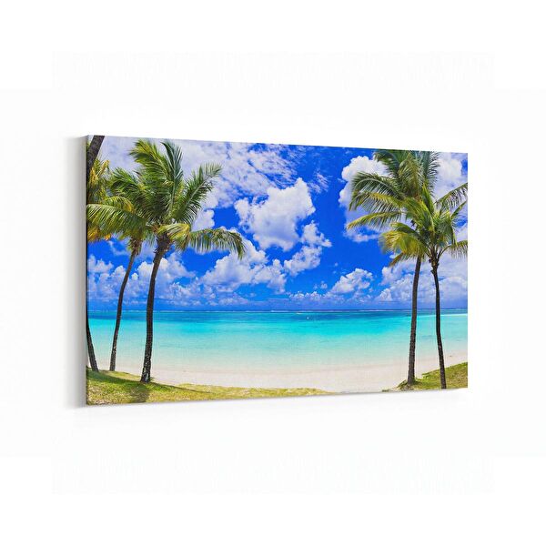 olla.market Kanvas Tablo