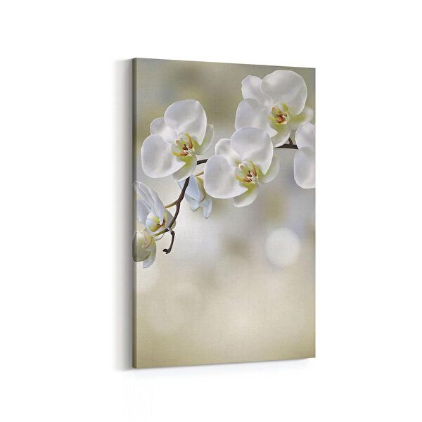 olla.market Kanvas Tablo