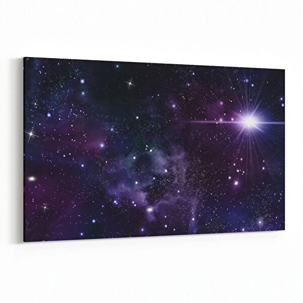 olla.market Kanvas Tablo