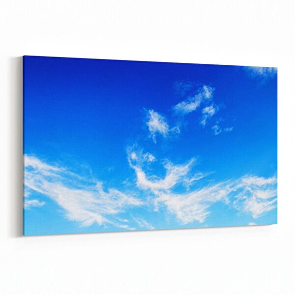 olla.market Kanvas Tablo