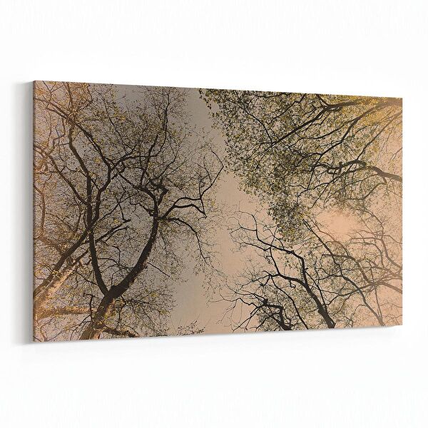 olla.market Kanvas Tablo