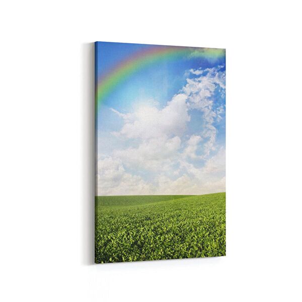 olla.market Kanvas Tablo