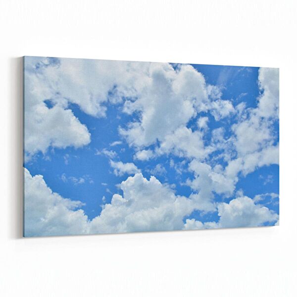 olla.market Kanvas Tablo