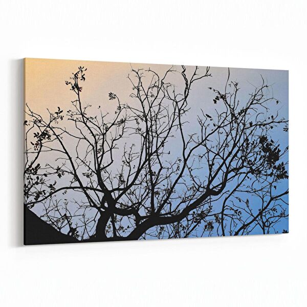 olla.market Kanvas Tablo