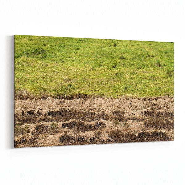 olla.market Kanvas Tablo