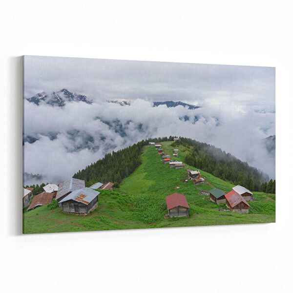 olla.market Kanvas Tablo