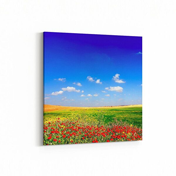 olla.market Kanvas Tablo