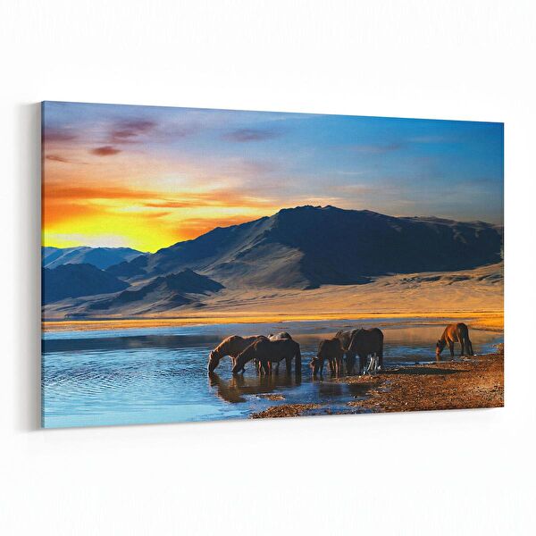 olla.market Kanvas Tablo