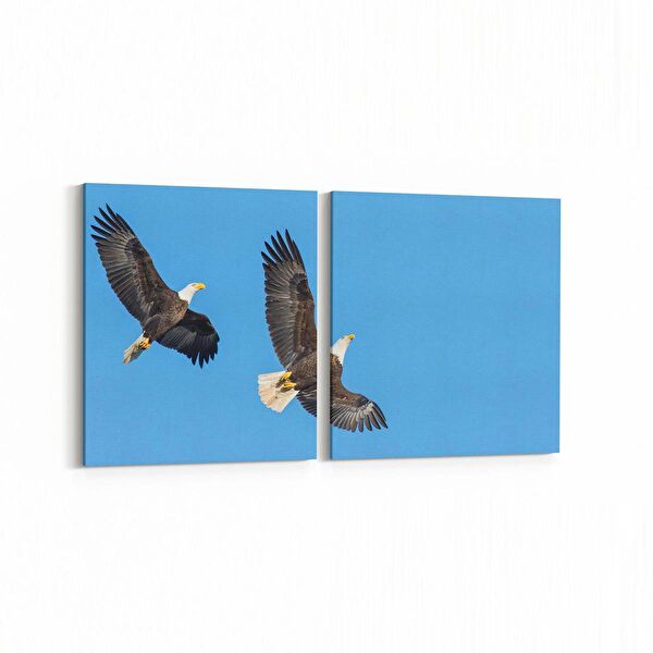 olla.market Kanvas Tablo