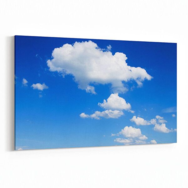 olla.market Kanvas Tablo