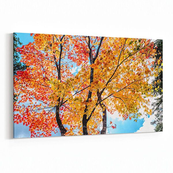 olla.market Kanvas Tablo