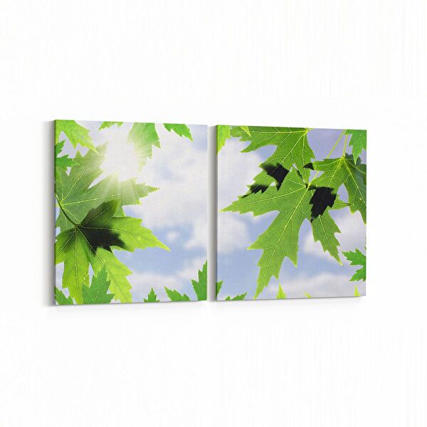 olla.market Kanvas Tablo