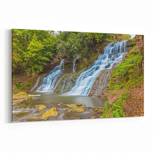 olla.market Kanvas Tablo