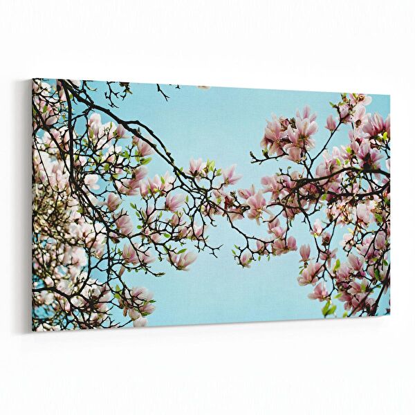 olla.market Kanvas Tablo