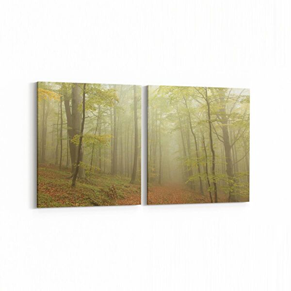 olla.market Kanvas Tablo