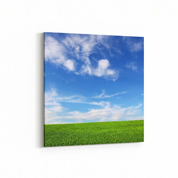 olla.market Kanvas Tablo