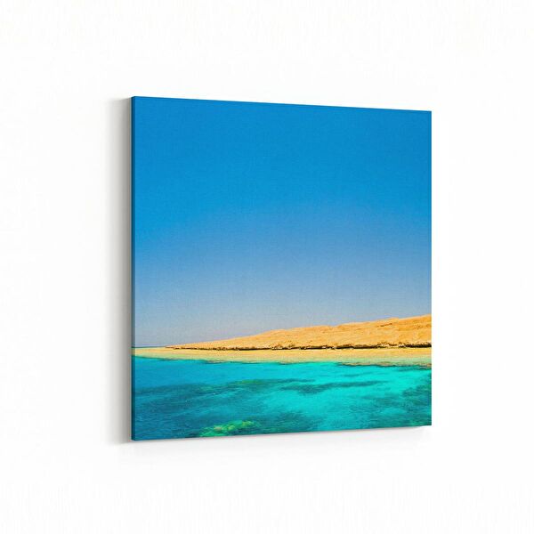 olla.market Kanvas Tablo