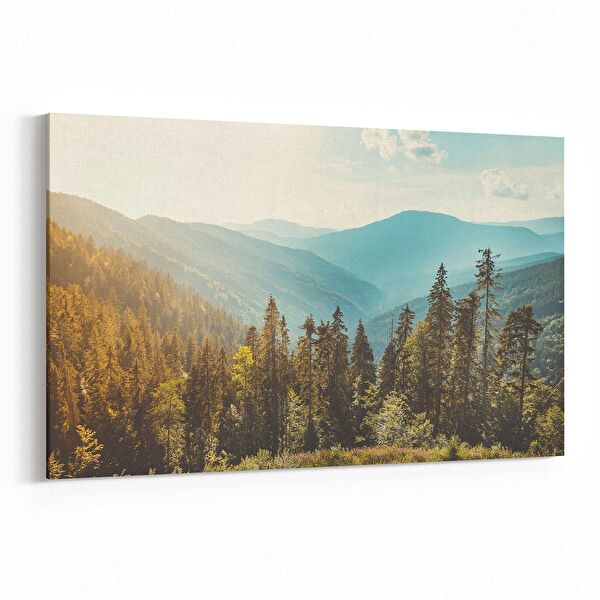 olla.market Kanvas Tablo