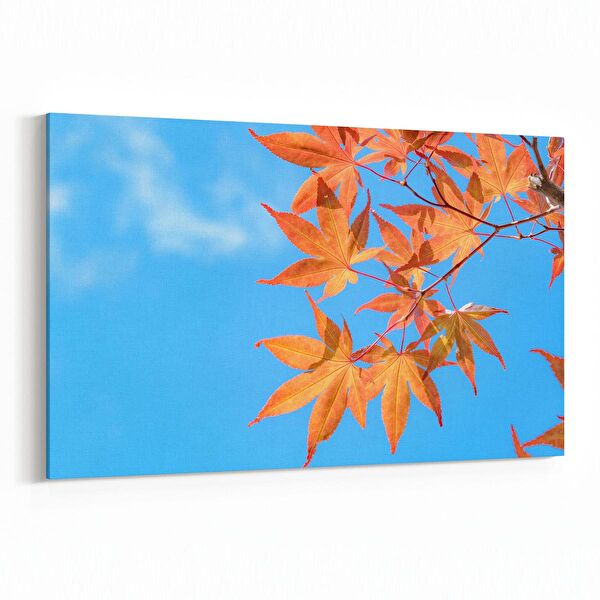 olla.market Kanvas Tablo