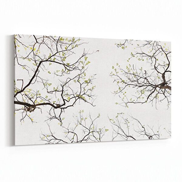 olla.market Kanvas Tablo