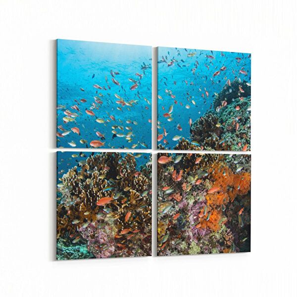 olla.market Kanvas Tablo