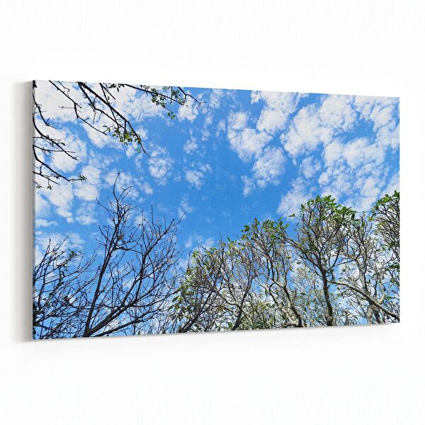 olla.market Kanvas Tablo