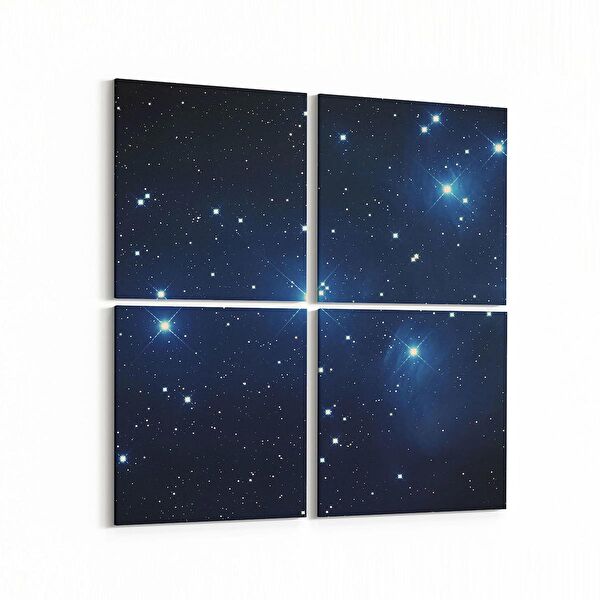 olla.market Kanvas Tablo