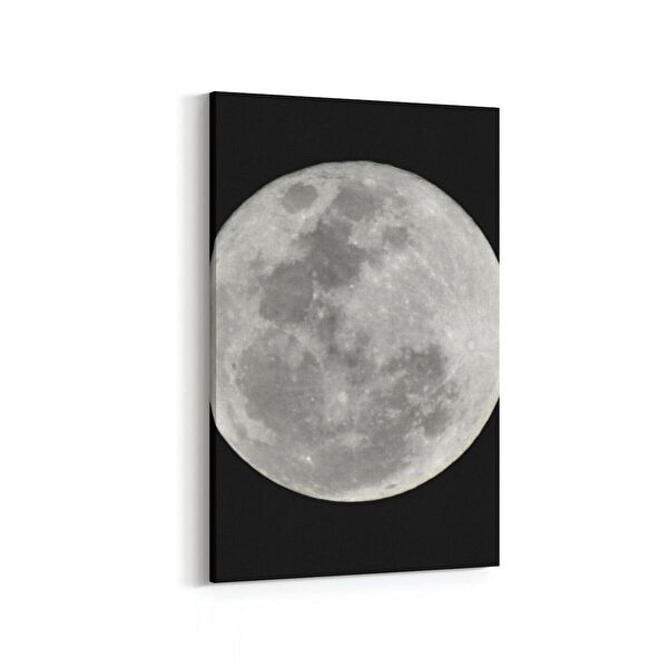 olla.market Kanvas Tablo