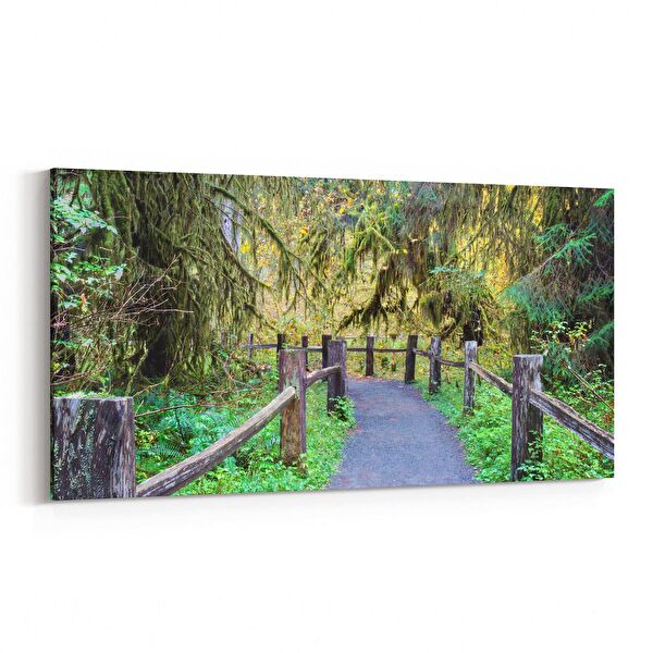 olla.market Kanvas Tablo