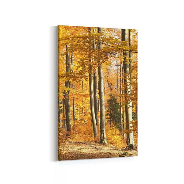 olla.market Kanvas Tablo