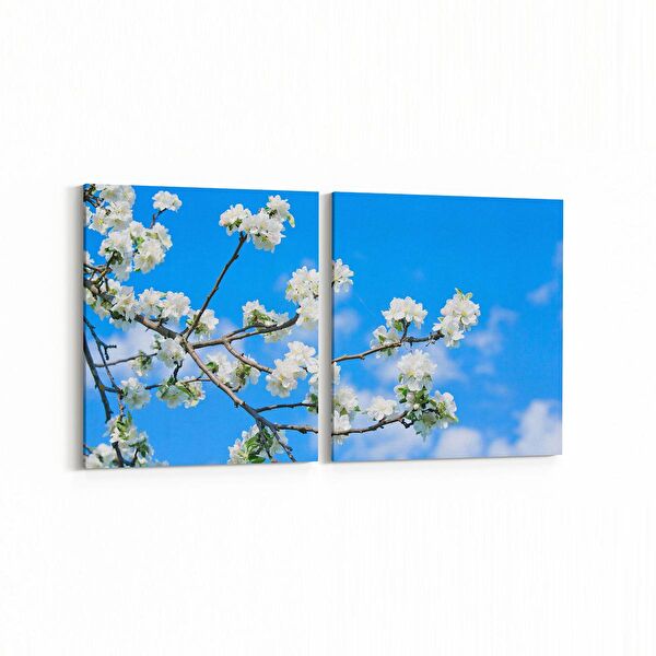 olla.market Kanvas Tablo