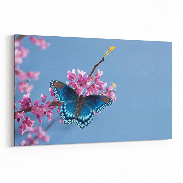 olla.market Kanvas Tablo